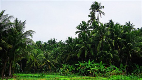 鸭来哒秘制烤鸭肠