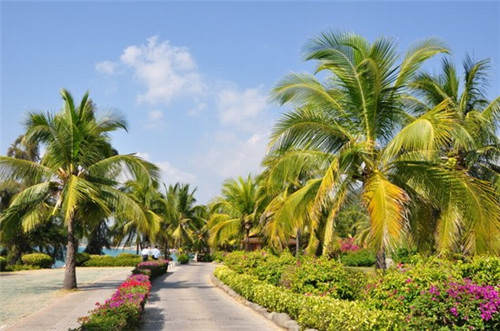 恰粉恰汤拌粉瓦罐汤