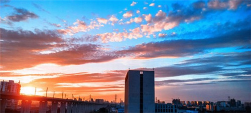 阿婉捞汁小海鲜