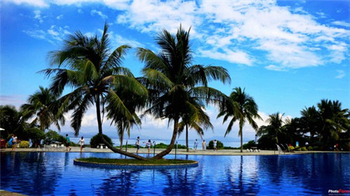 田丸屋日式料理