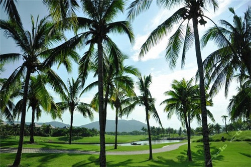 曼芙丽汽车美容