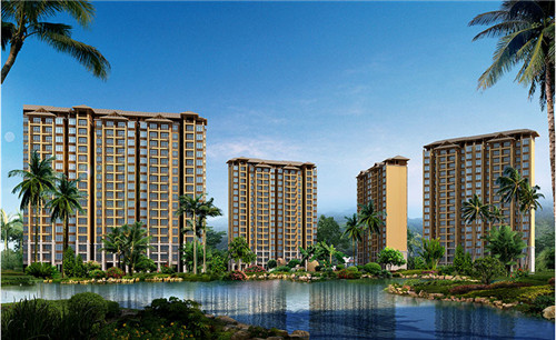 鸡董焖饭
