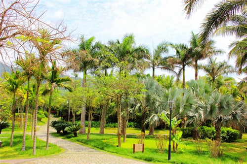 麻辣烫加盟品牌哪家靠谱加盟流程快，加盟枫林麻辣烫开店多久可以盈利